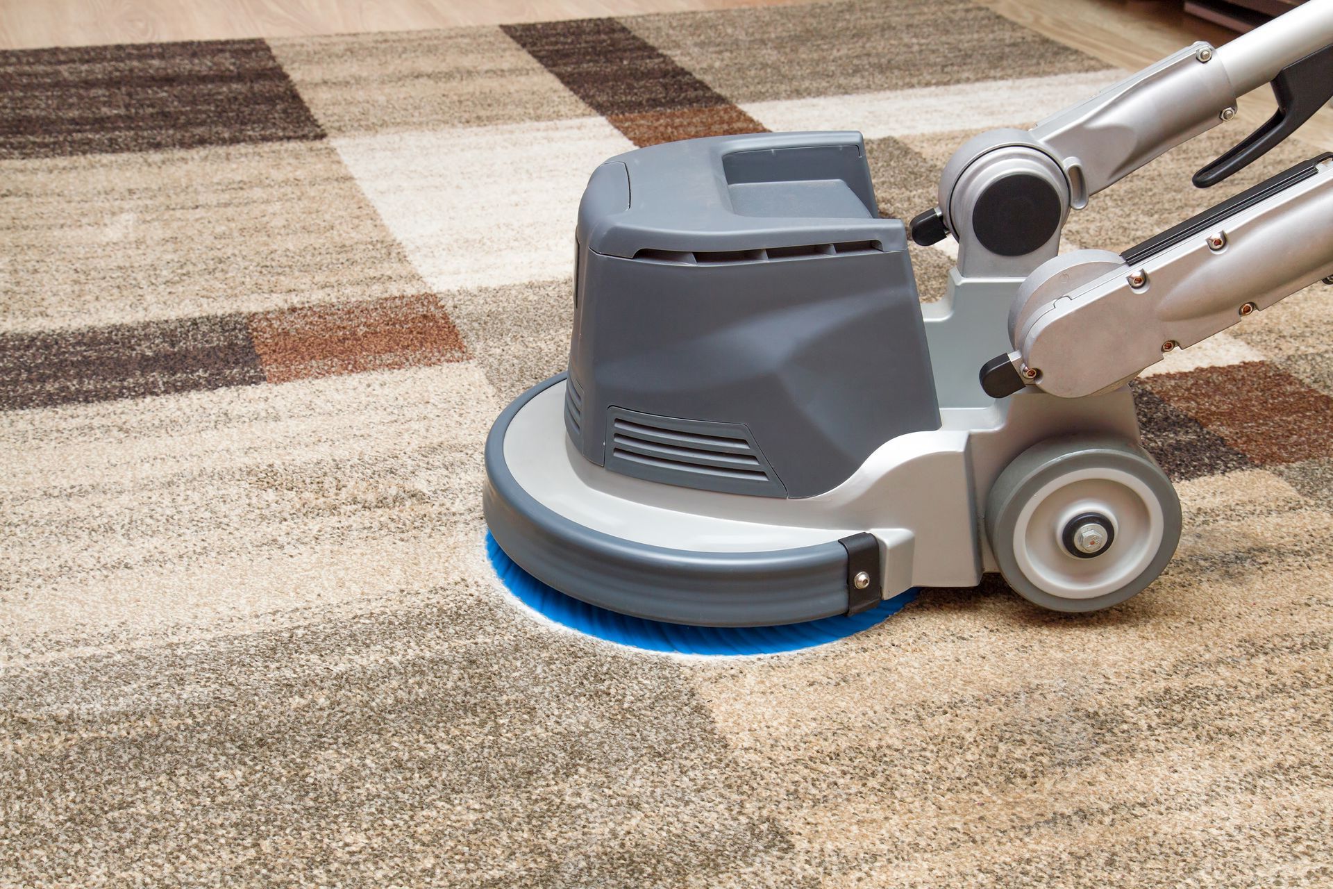 a machine is cleaning a carpet with a blue pad