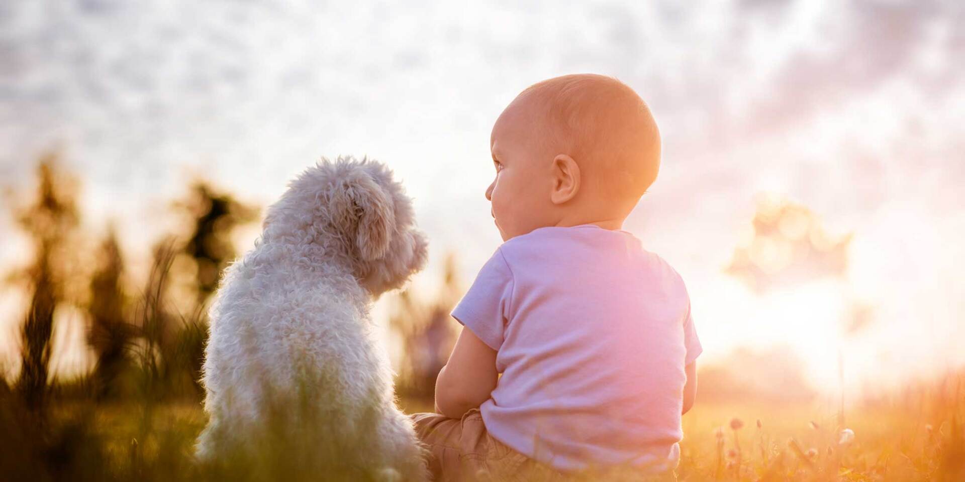 Baby with a Dog