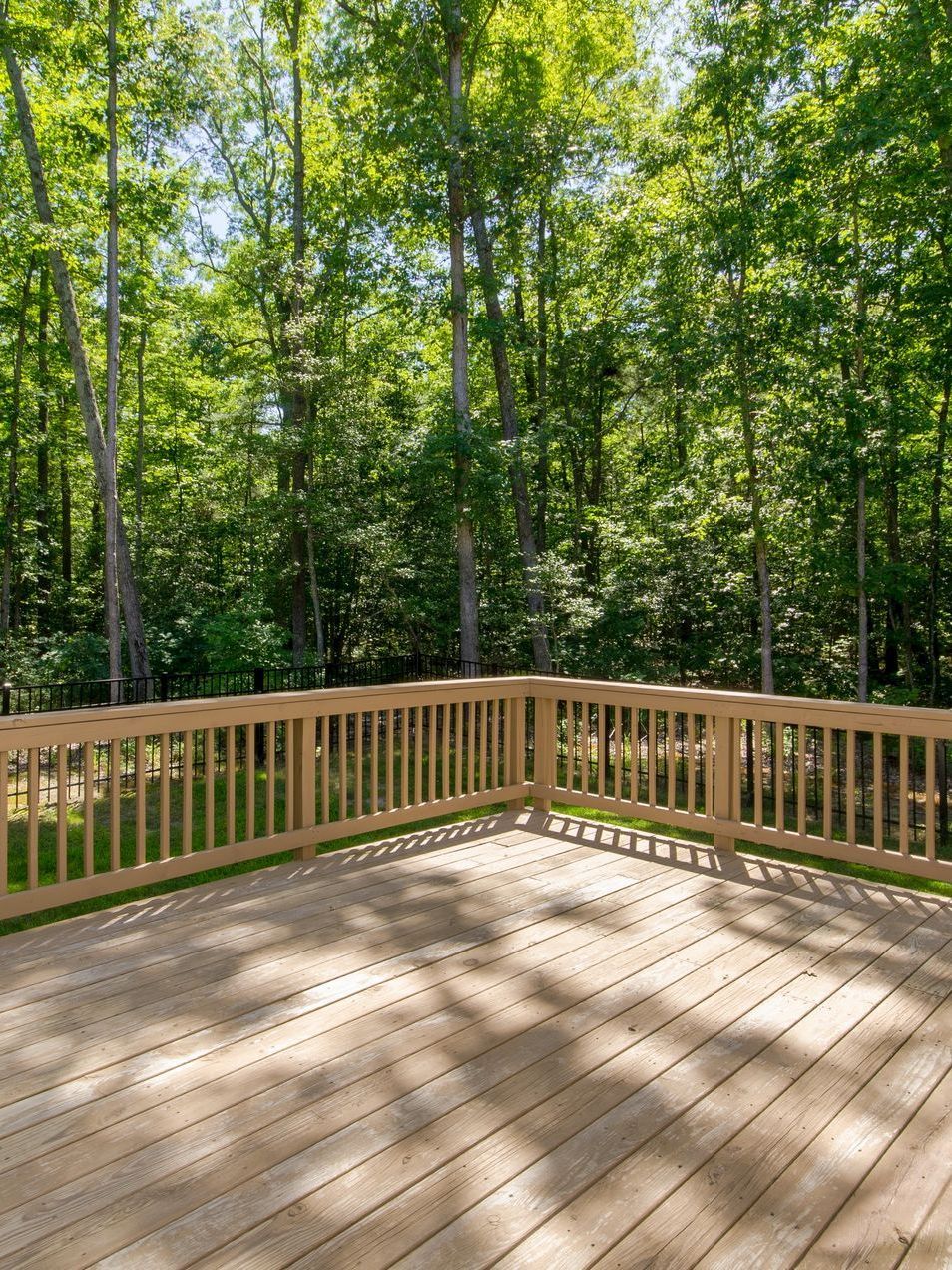 back wood deck in the woods