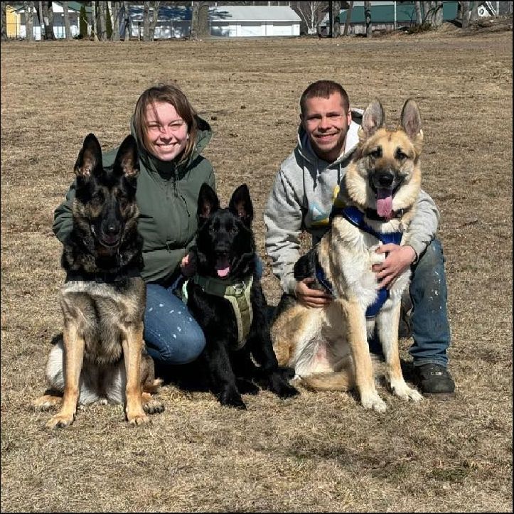 a man and woman with two german shepherd dogs