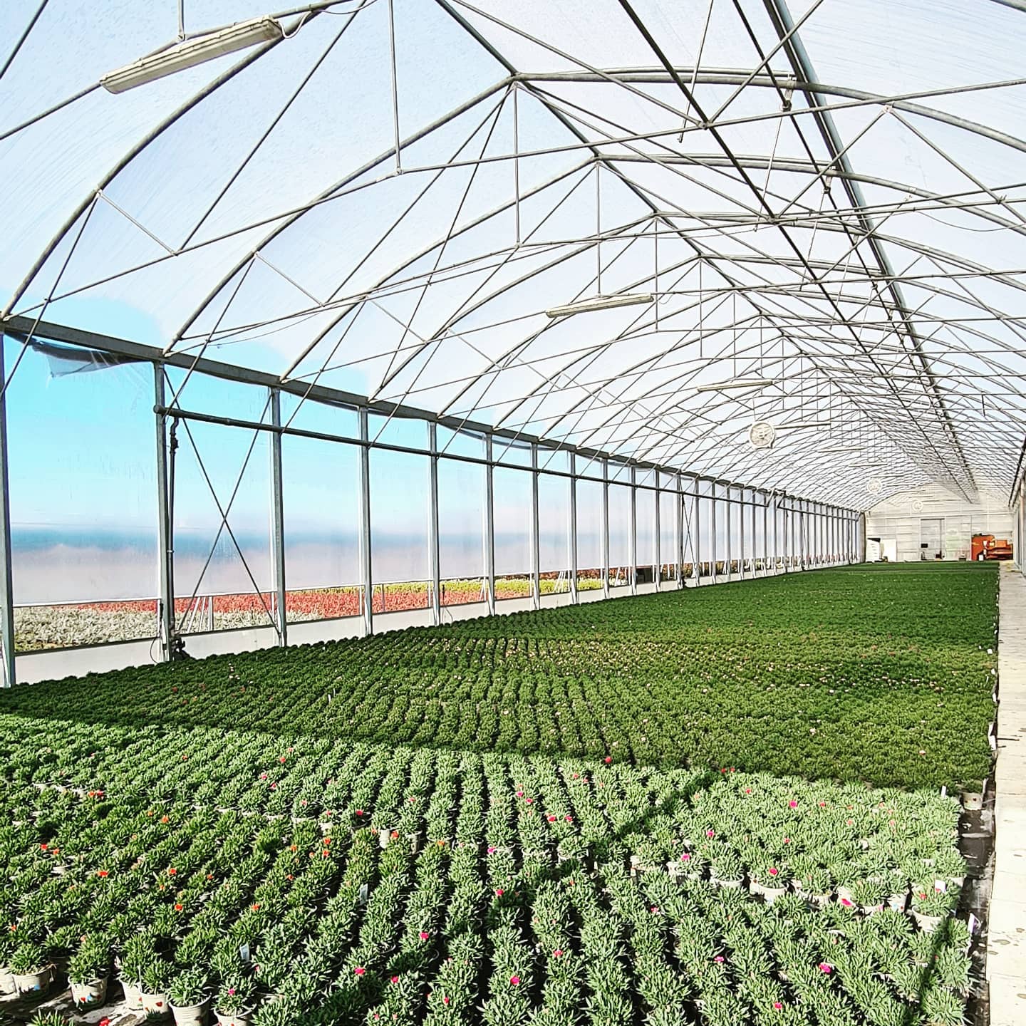 illuminazione esterni