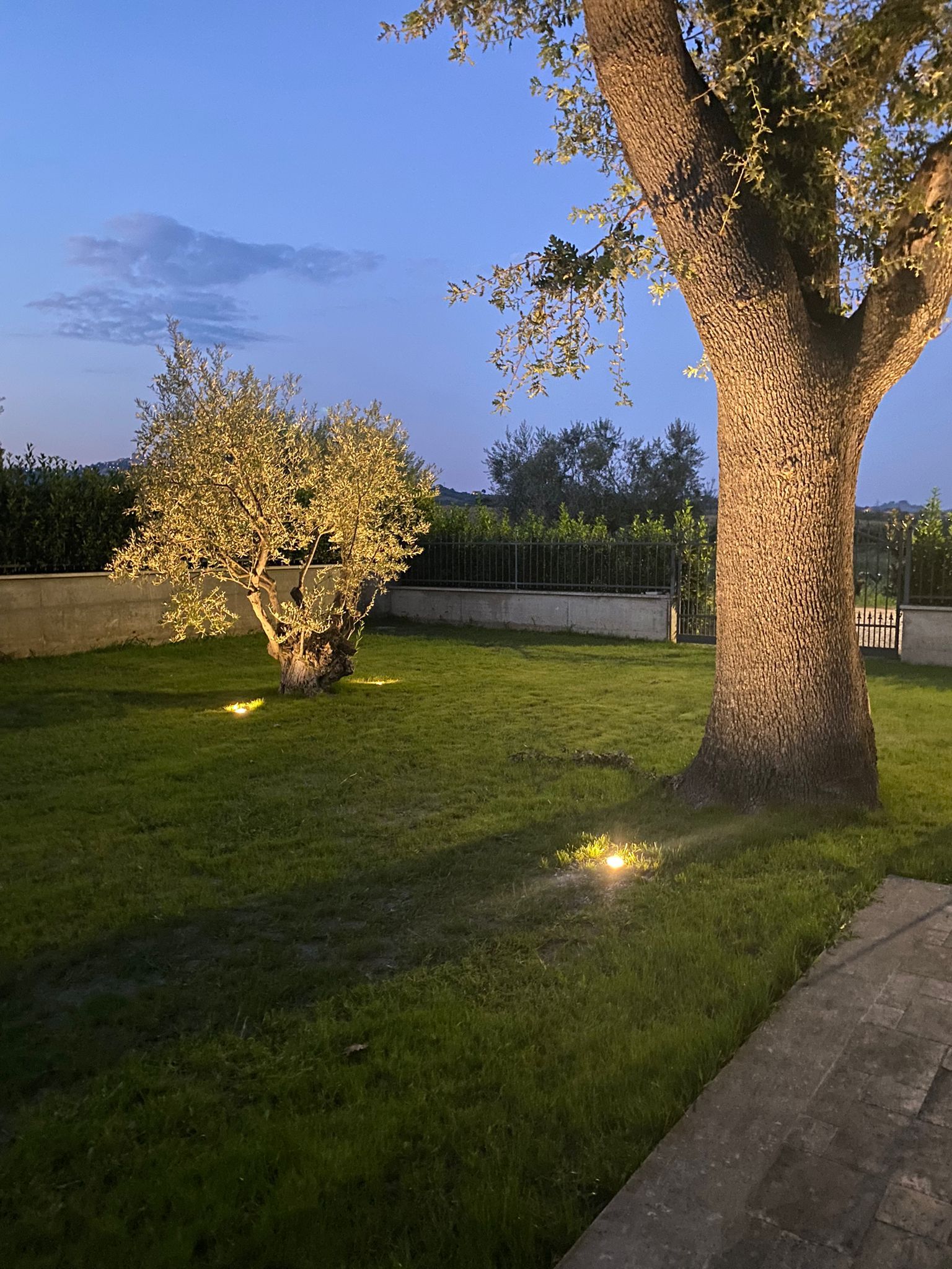 illuminazione giardini