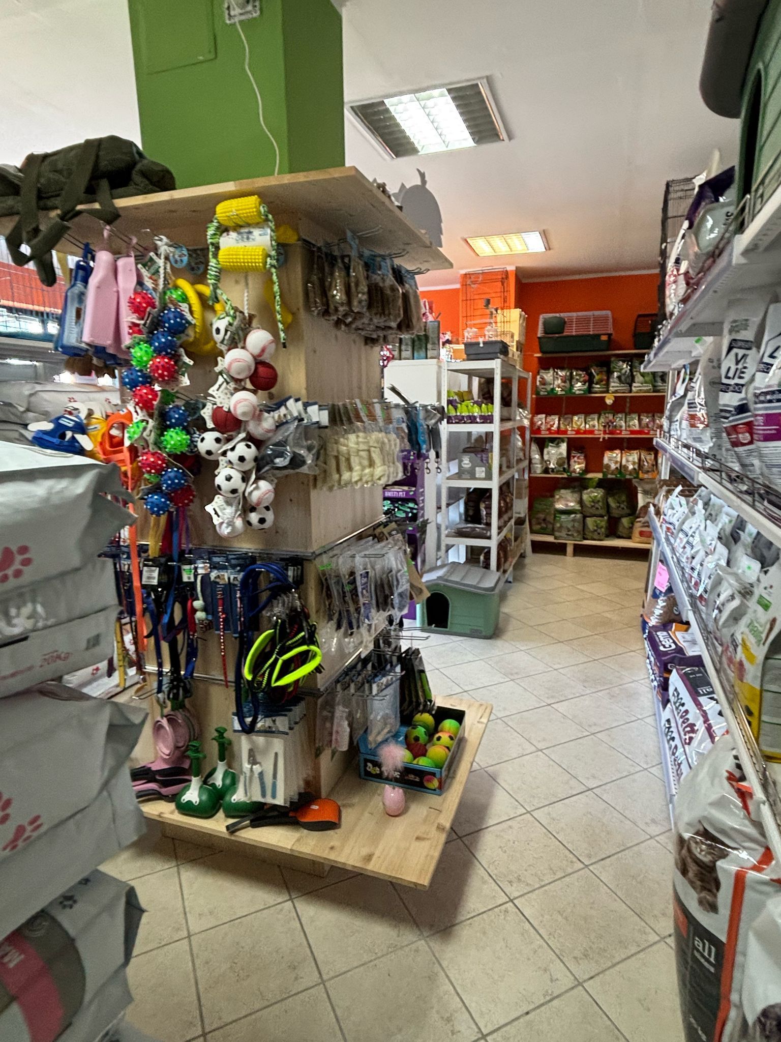 giochi per cani e gatti