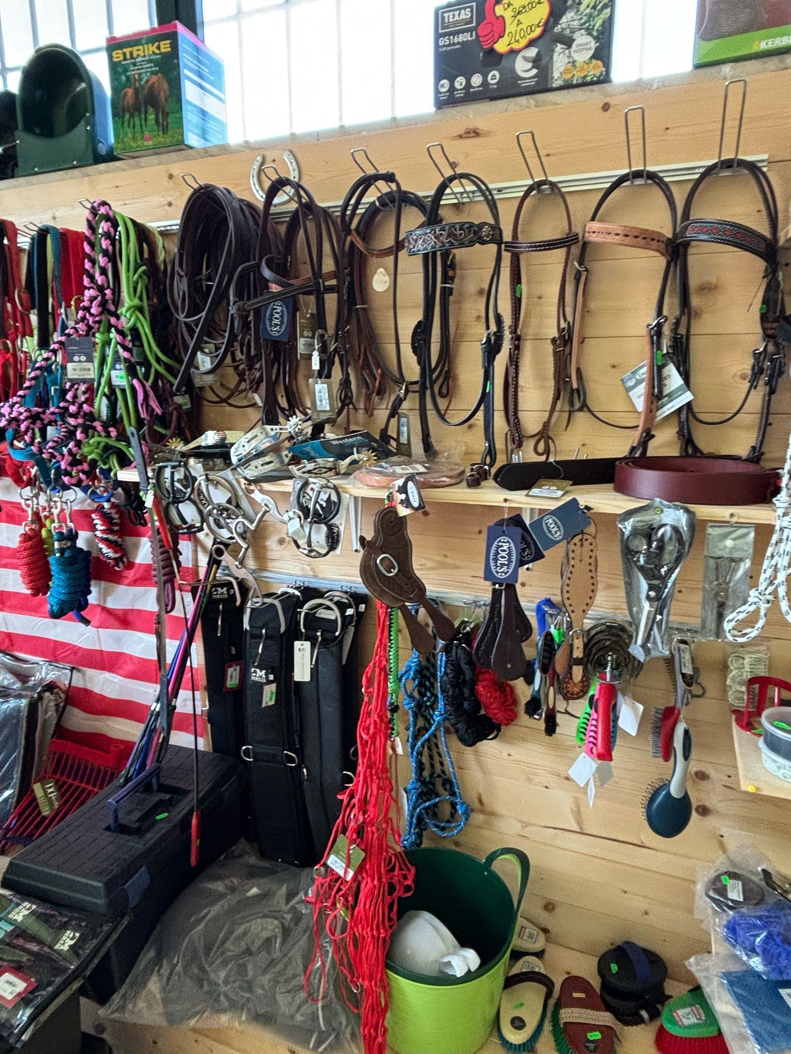briglie e accessori per cavalli