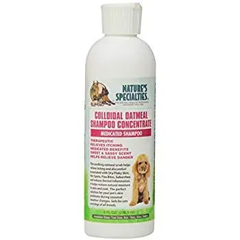A bottle of nature 's specialties colloidal oatmeal shampoo concentrate for dogs.
