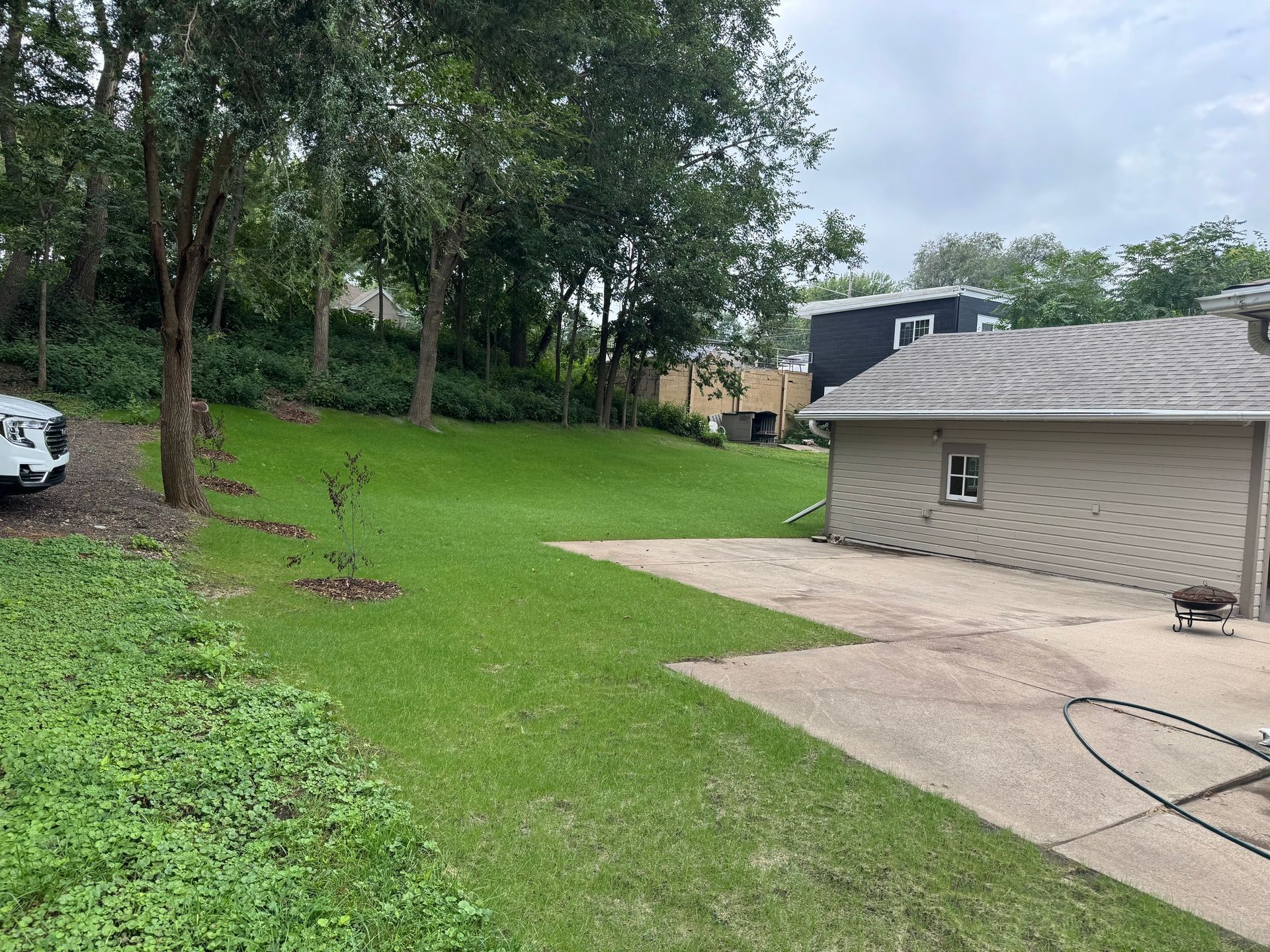 Grassy backyard with trees, a driveway, and a beige house under a cloudy sky