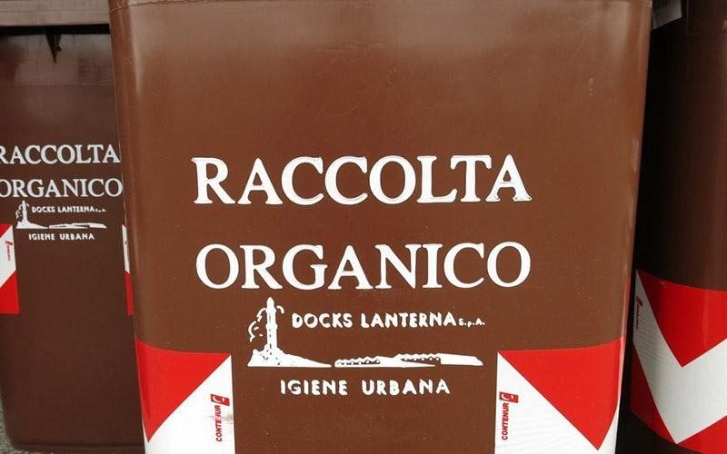 cestino raccolta umido