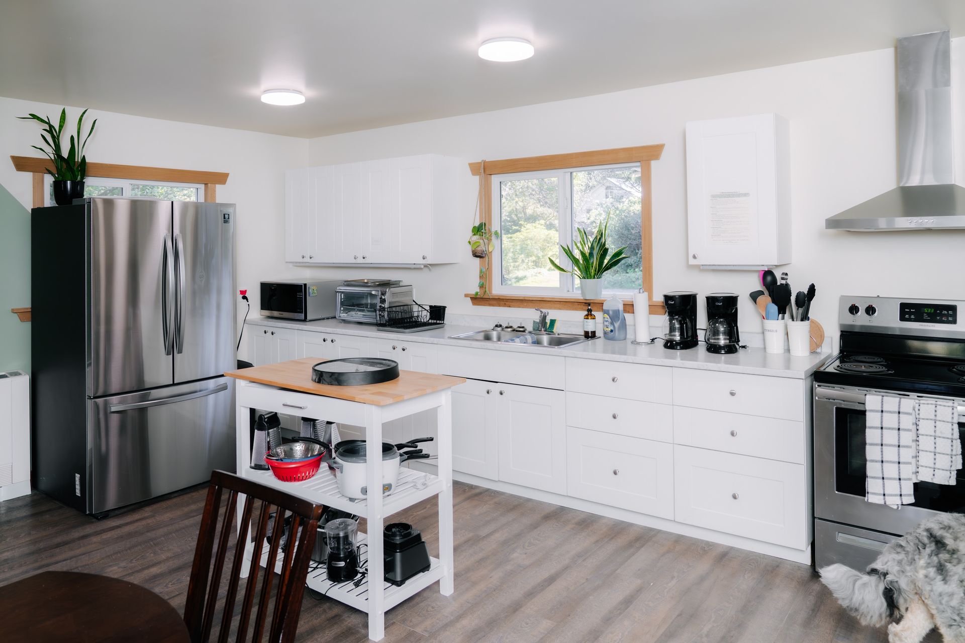 A bright, modern kitchen with white cabinets, stainless steel appliances, a center island, and wood-trimmed windows.
