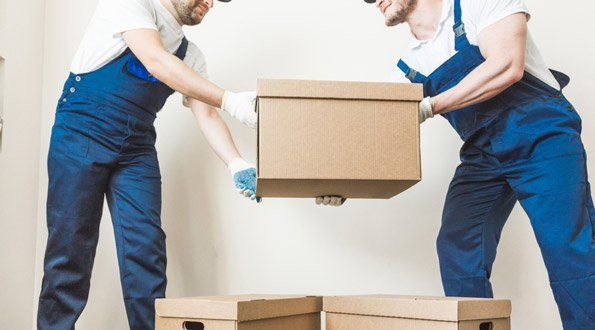Movers Carefully Moving Boxes — Furniture Removals in Dubbo, NSW