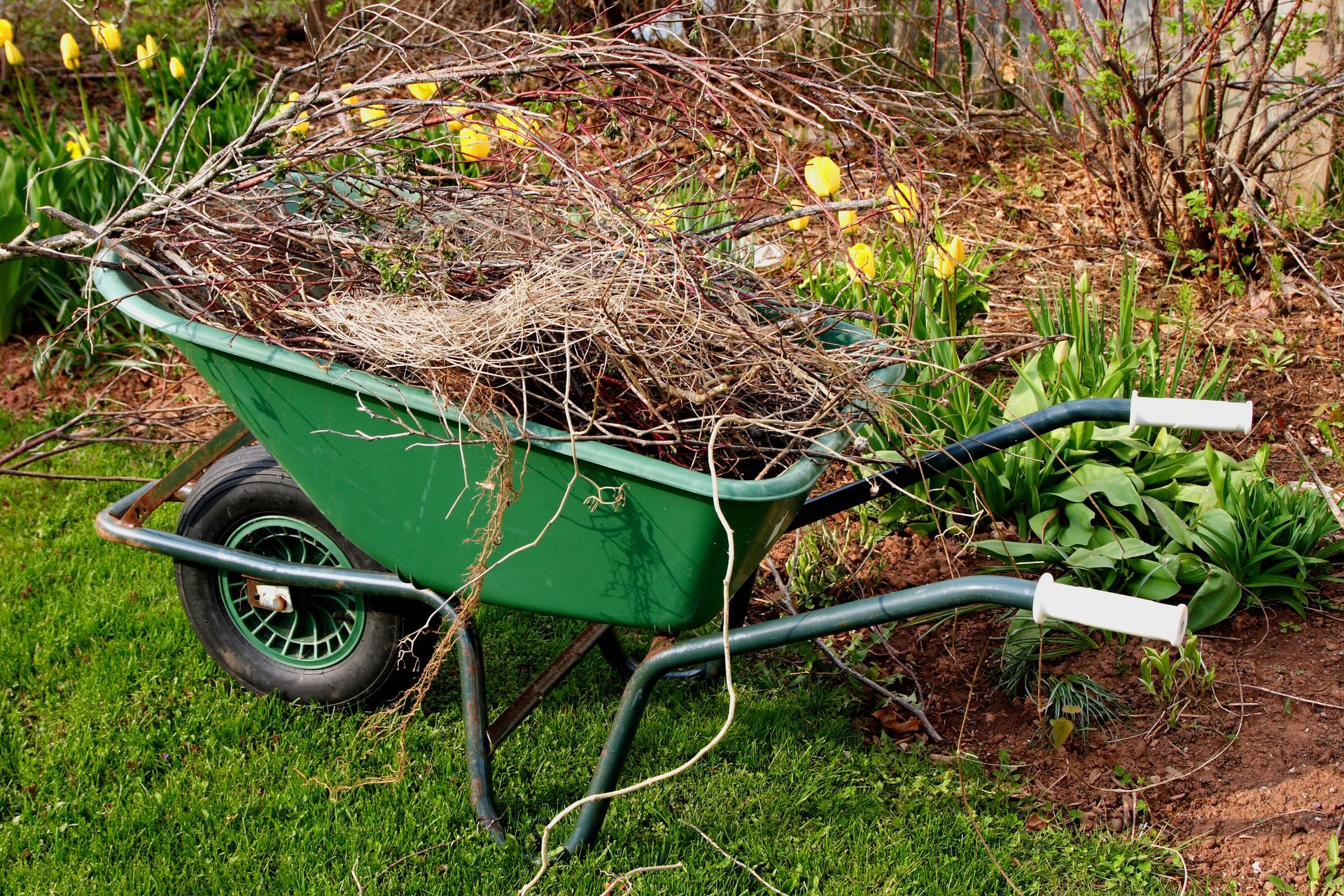 A green wheelbarrow filled with branches in a garden.