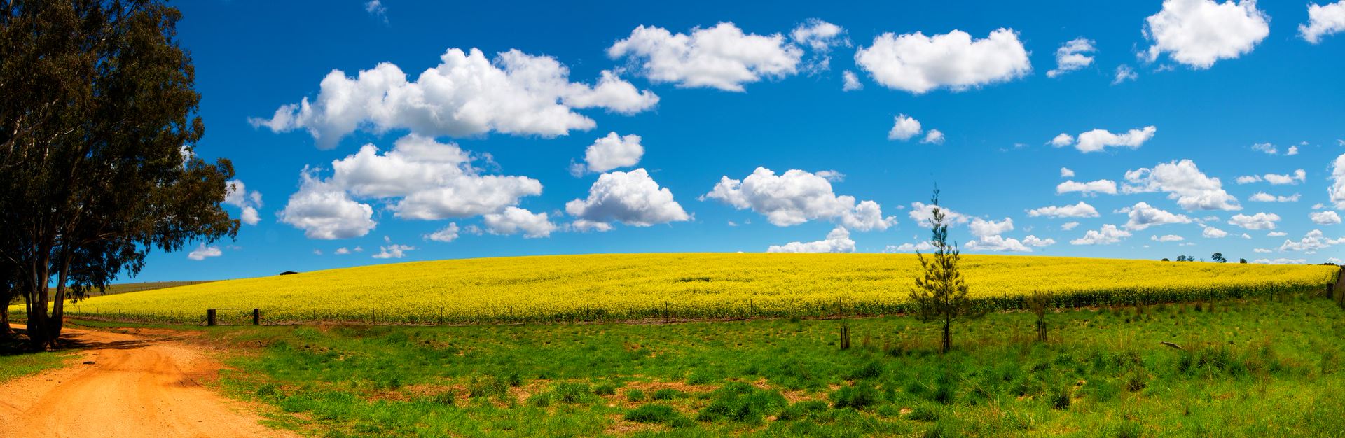 Molong — Solar Installers in Molong, NSW