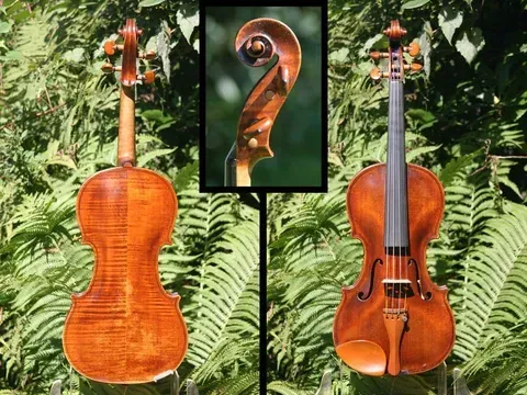 Giovanni Cavani Spilamberto, Facero anno. 1916