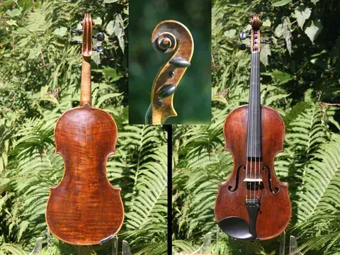 Elegant Violin Design