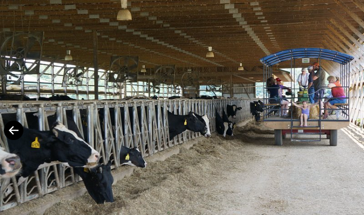 Dairy Farm