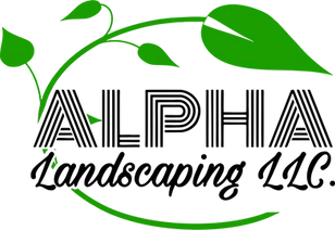 Alpha Landscaping LLC ALPHA Landscaping LLC of Middletown NJ with green leaves and black stylized text on a white background