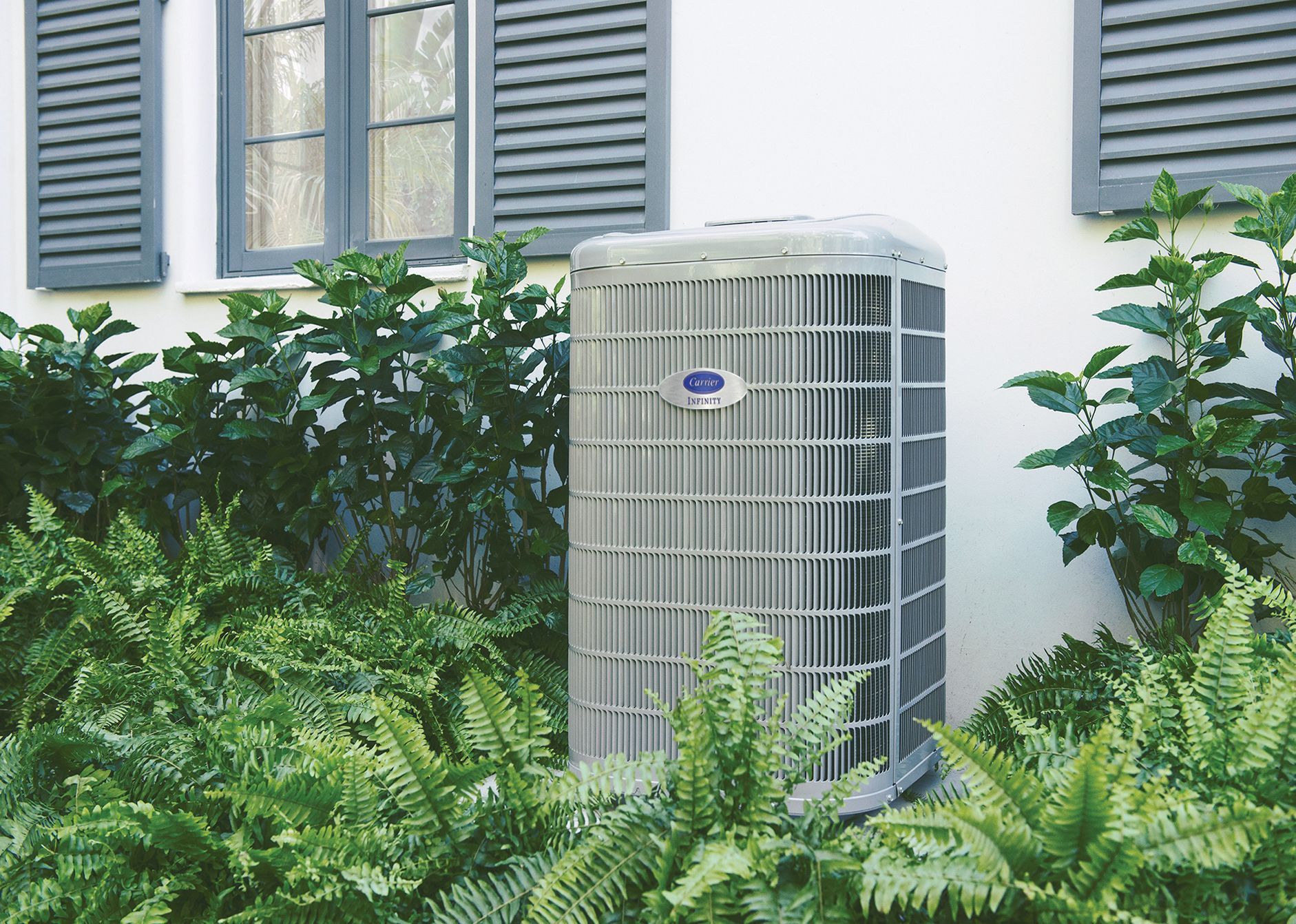 A carrier air conditioner is sitting outside of a house surrounded by ferns.