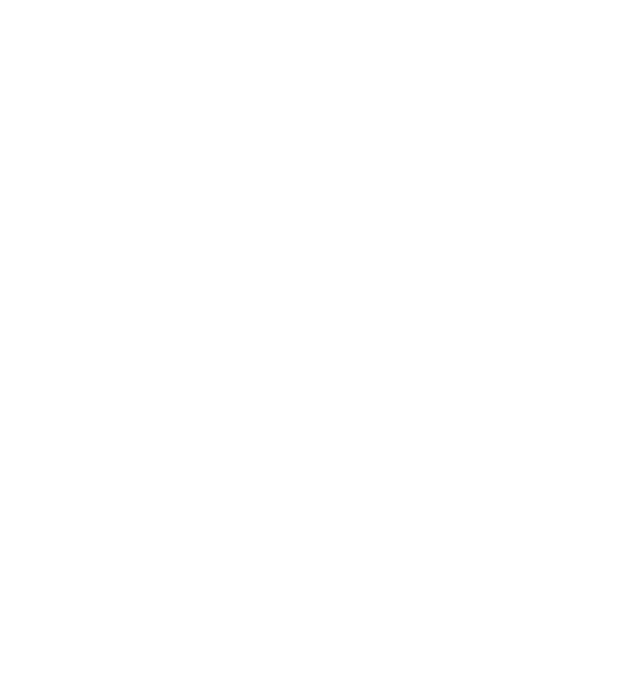 Final Stop Security Logo