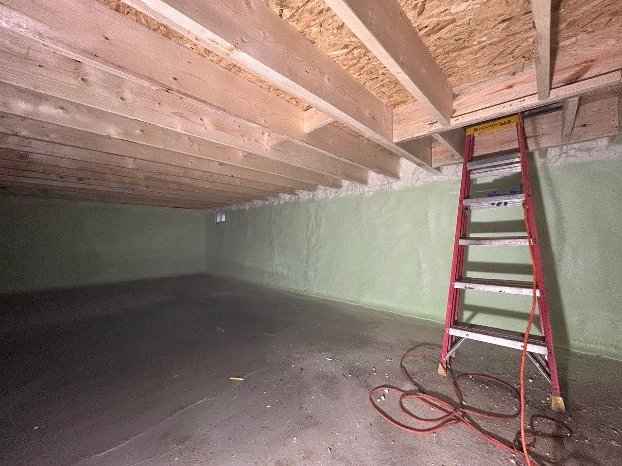 Basement interior with green walls, wooden ceiling beams, red ladder, and a gray floor.