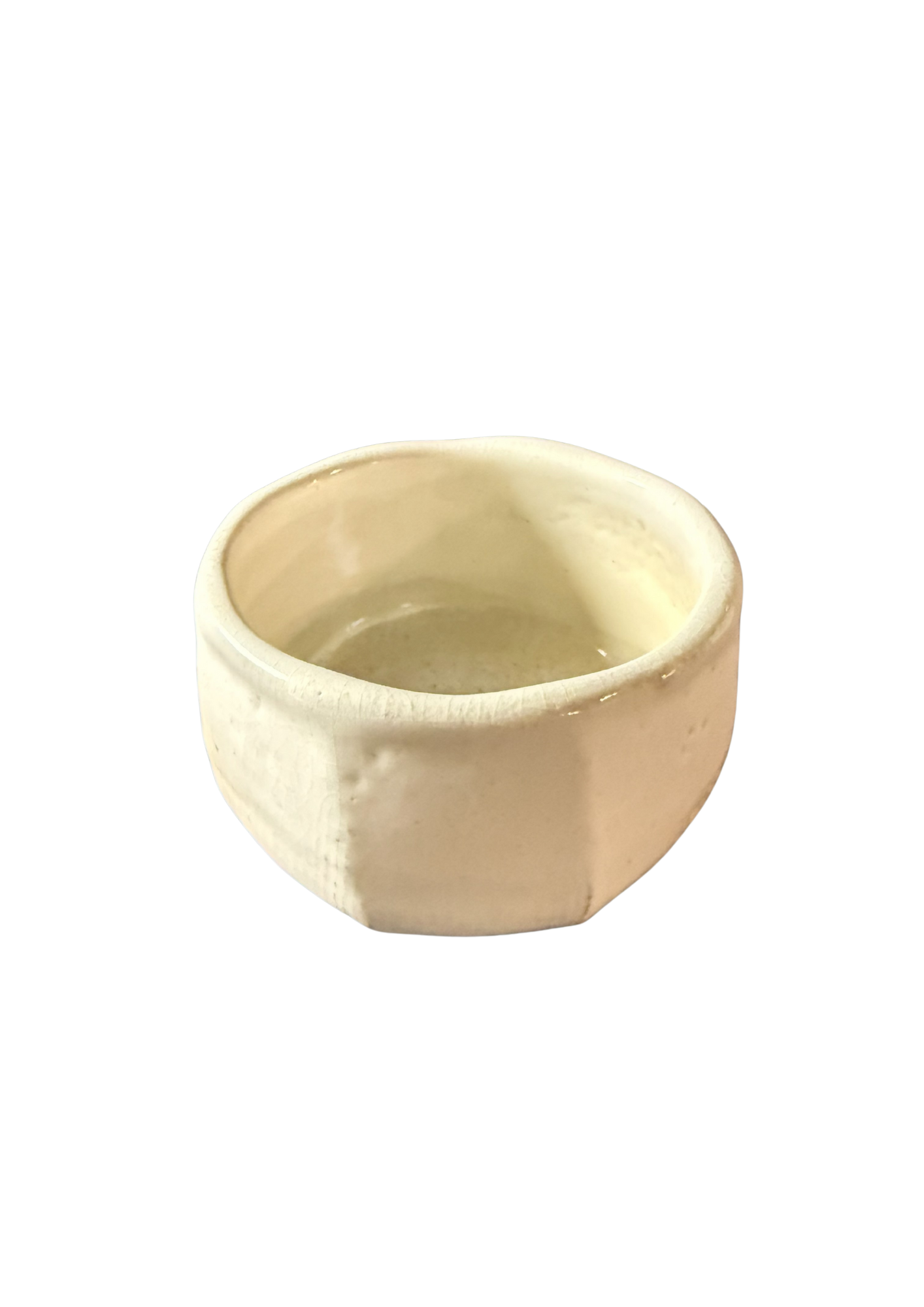 光映 | 菊印 志野