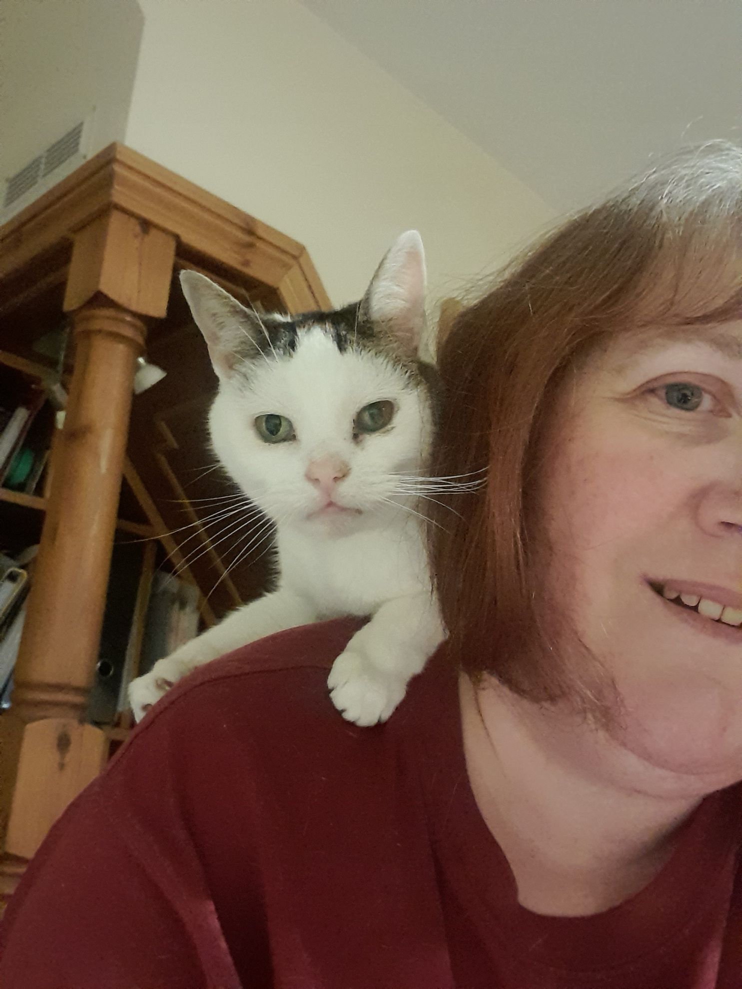 A woman is holding a white cat on her shoulder.