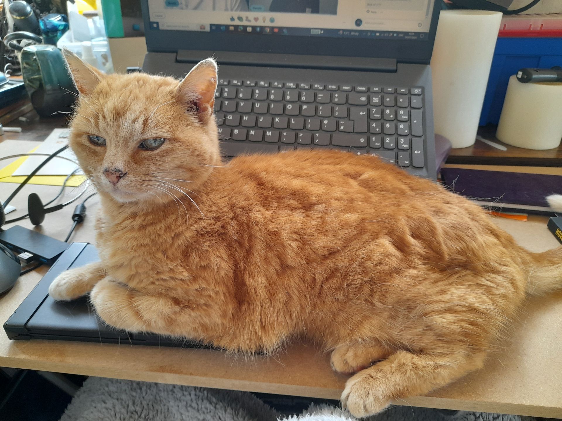 An orange cat is laying on top of a laptop on a desk.