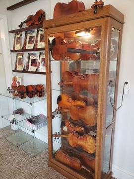 A wooden display case holds multiple violins, with additional violins on wall shelves in a brightly lit shop.