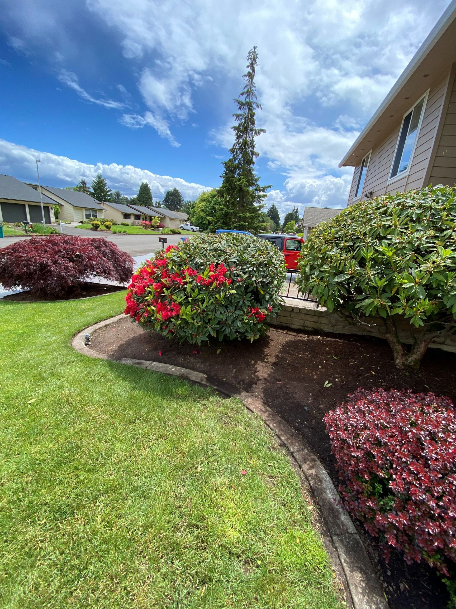 A lush green lawn with flowers and bushes in front of a house.