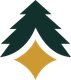 A christmas tree with a diamond in the middle