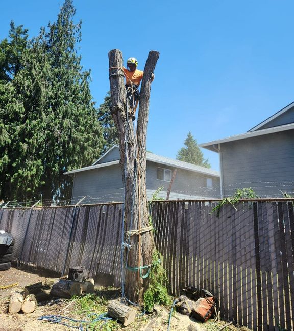 Photo Of Truck And Tree — Vancouver, WA — Alexa's Tree Service LLC