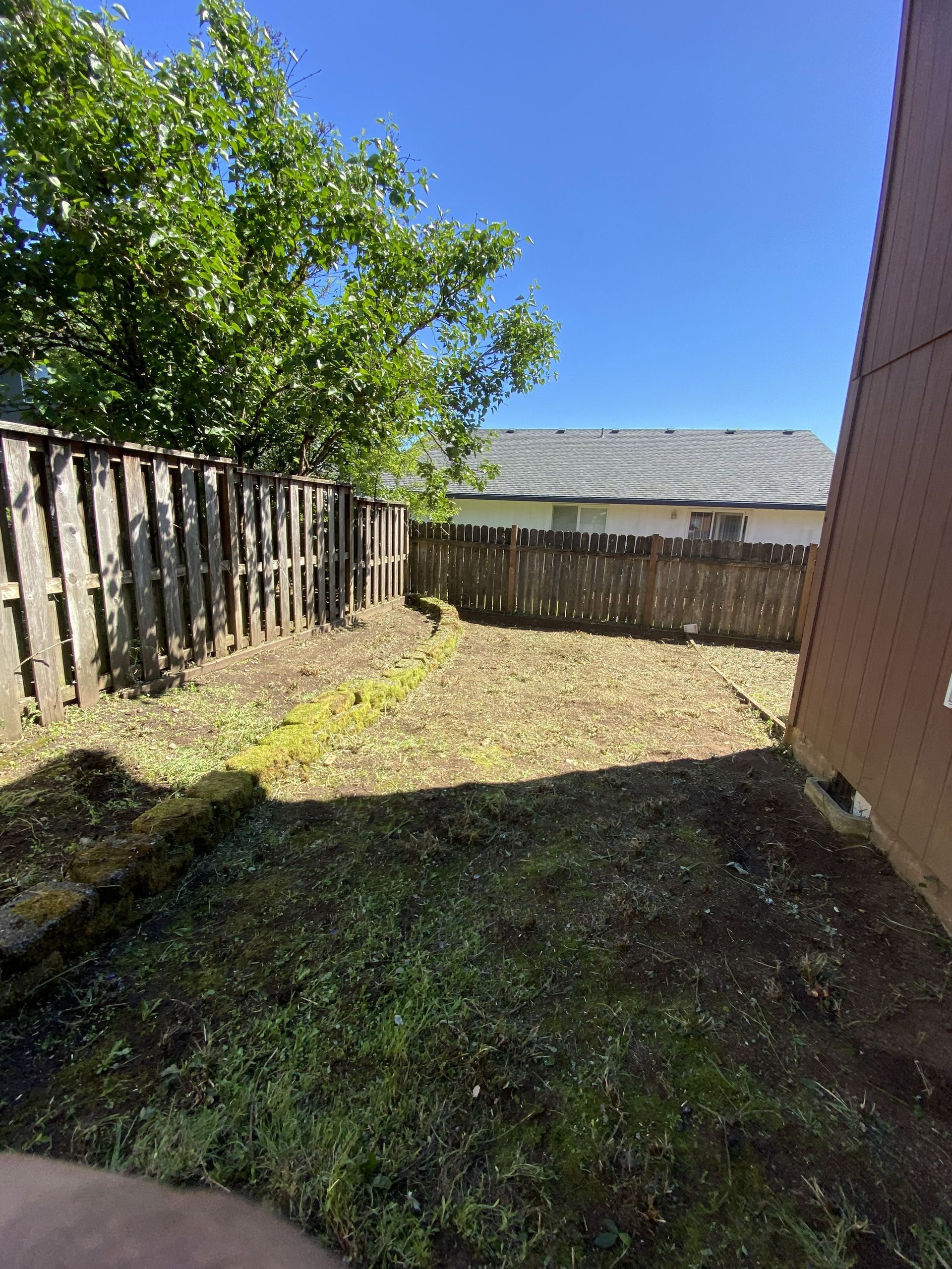 A backyard with a wooden fence and a lot of grass.