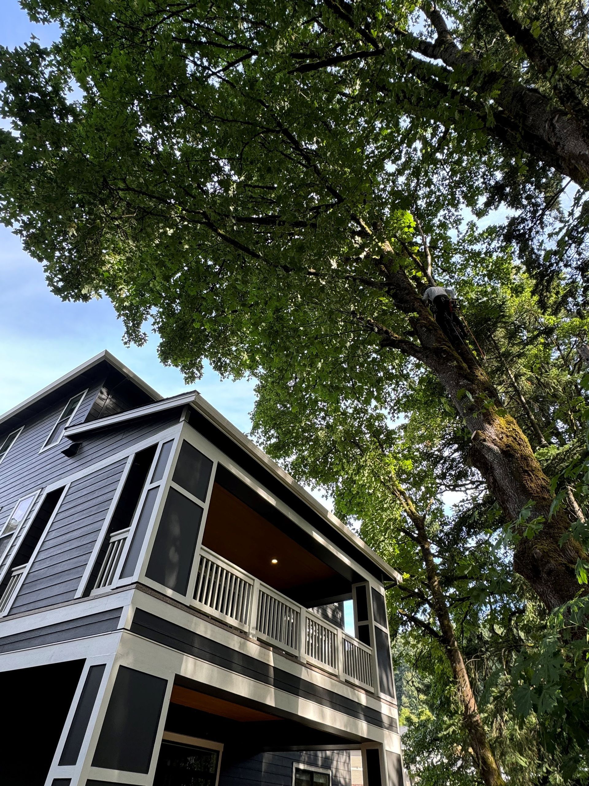 A house with a screened in porch is surrounded by trees.