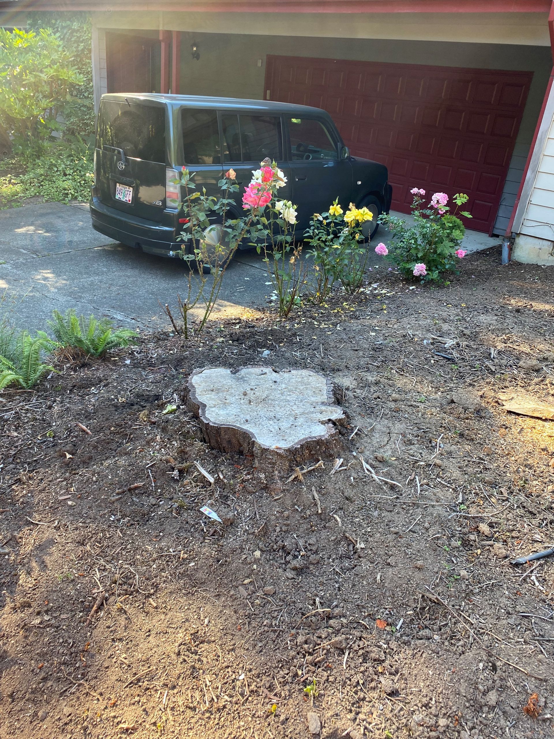 A black van is parked in front of a house next to a tree stump.