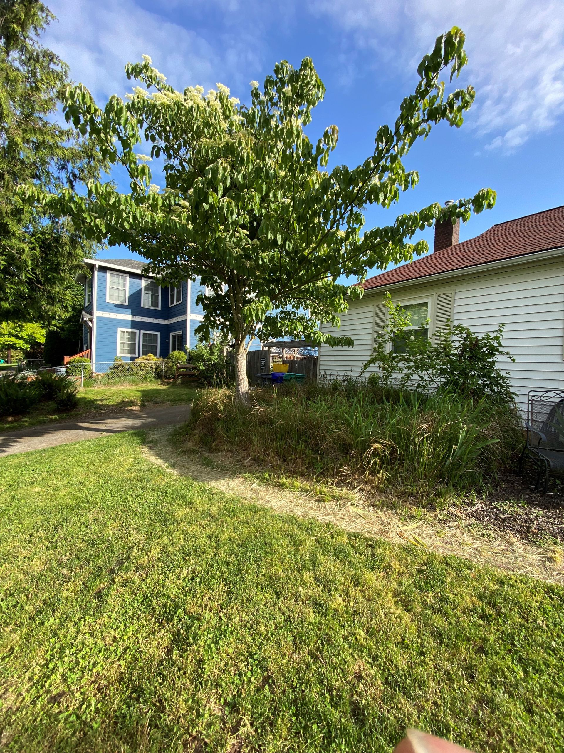 A person is holding a piece of grass in front of a house.