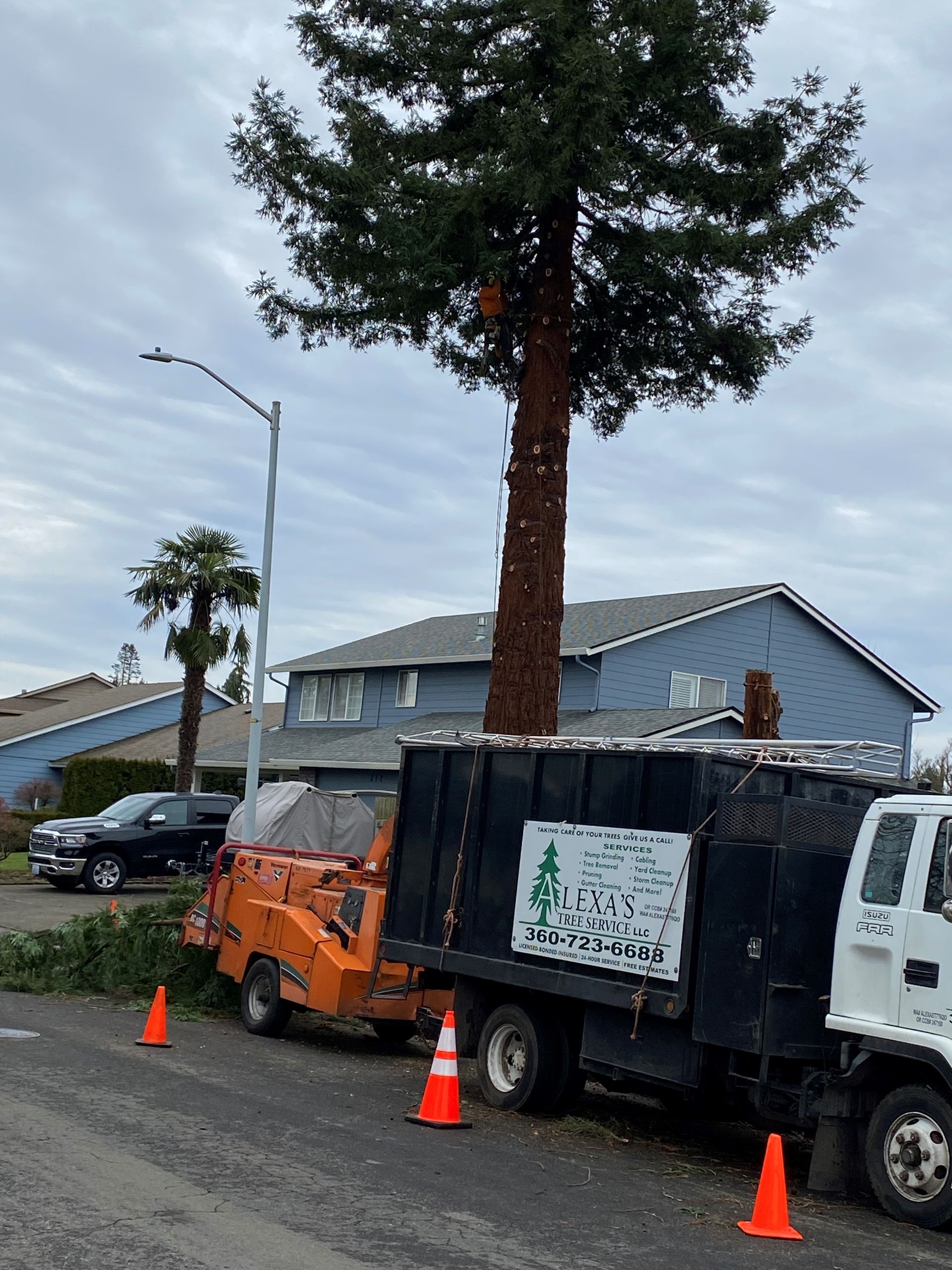 A tree is being removed from the side of the road by a truck.