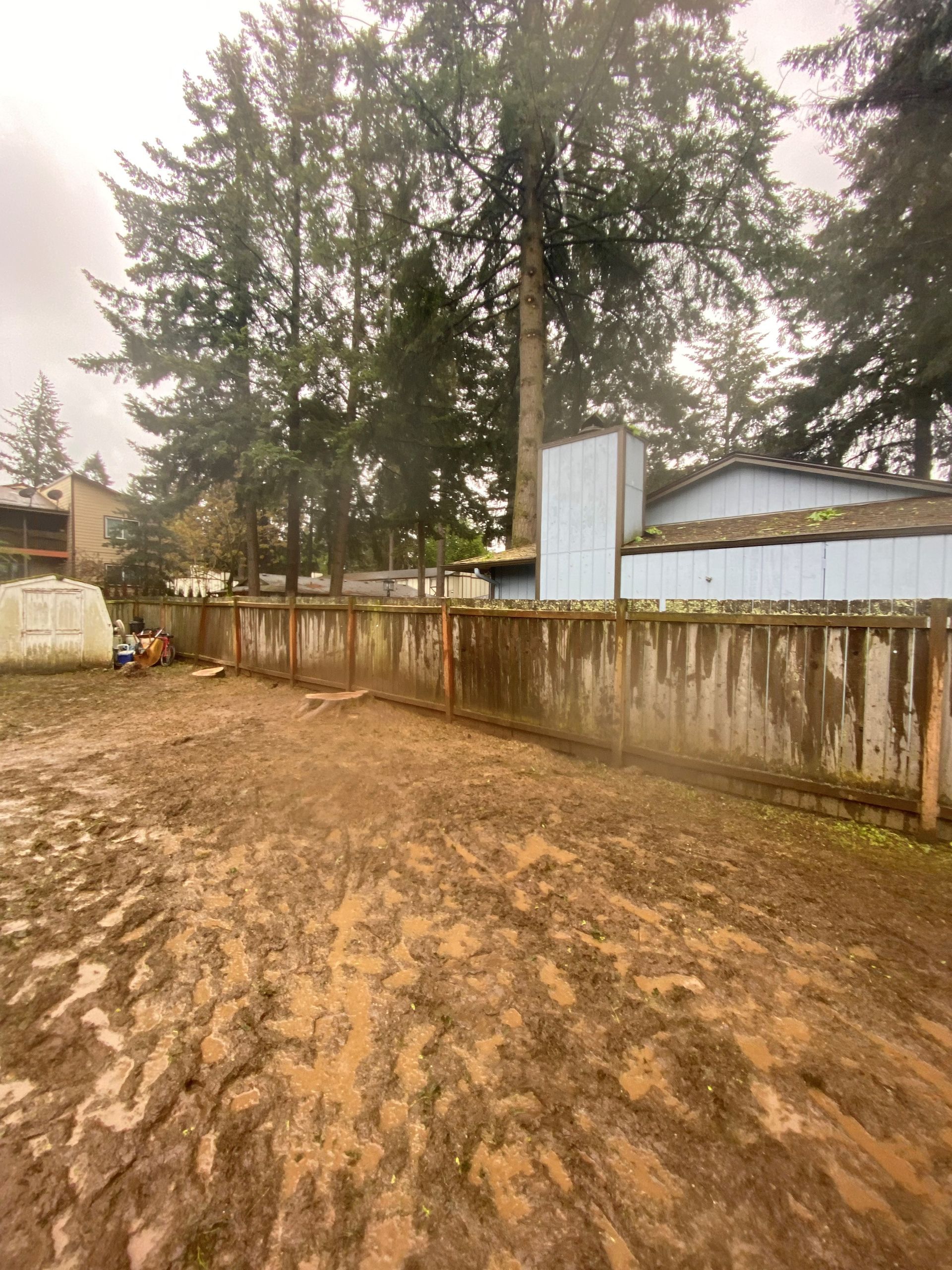 A muddy yard with a fence and trees in the background.