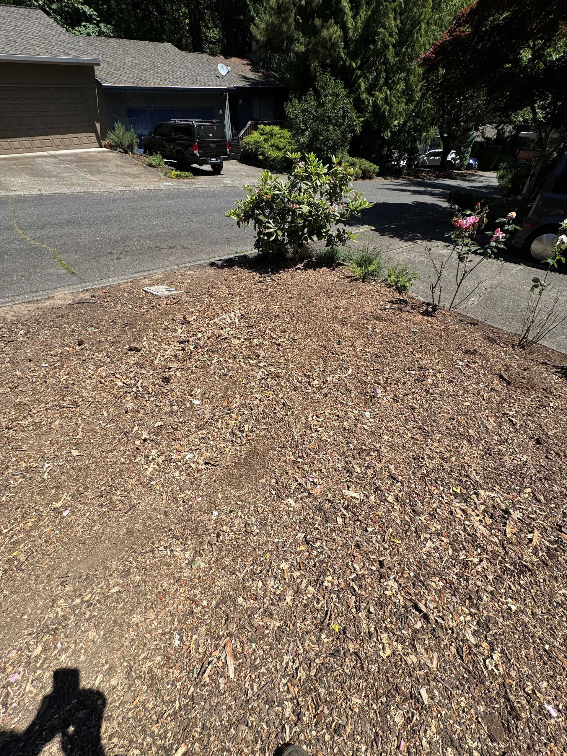 A shadow of a person is cast on a pile of mulch in front of a house.