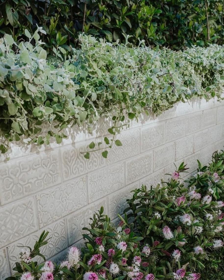 A Brick Wall With Flowers and Plants Growing on It — Amber North Coast In Port Macquarie, NSW