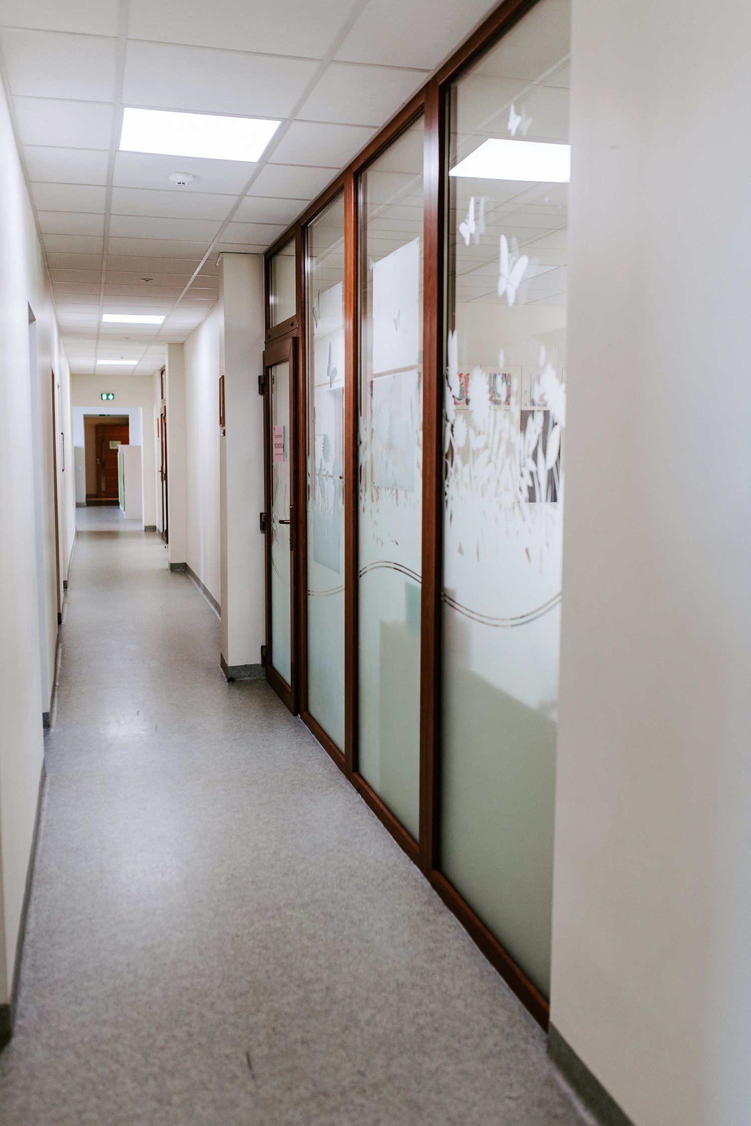 Šiaulių jėzuitų mokyklos aplinka