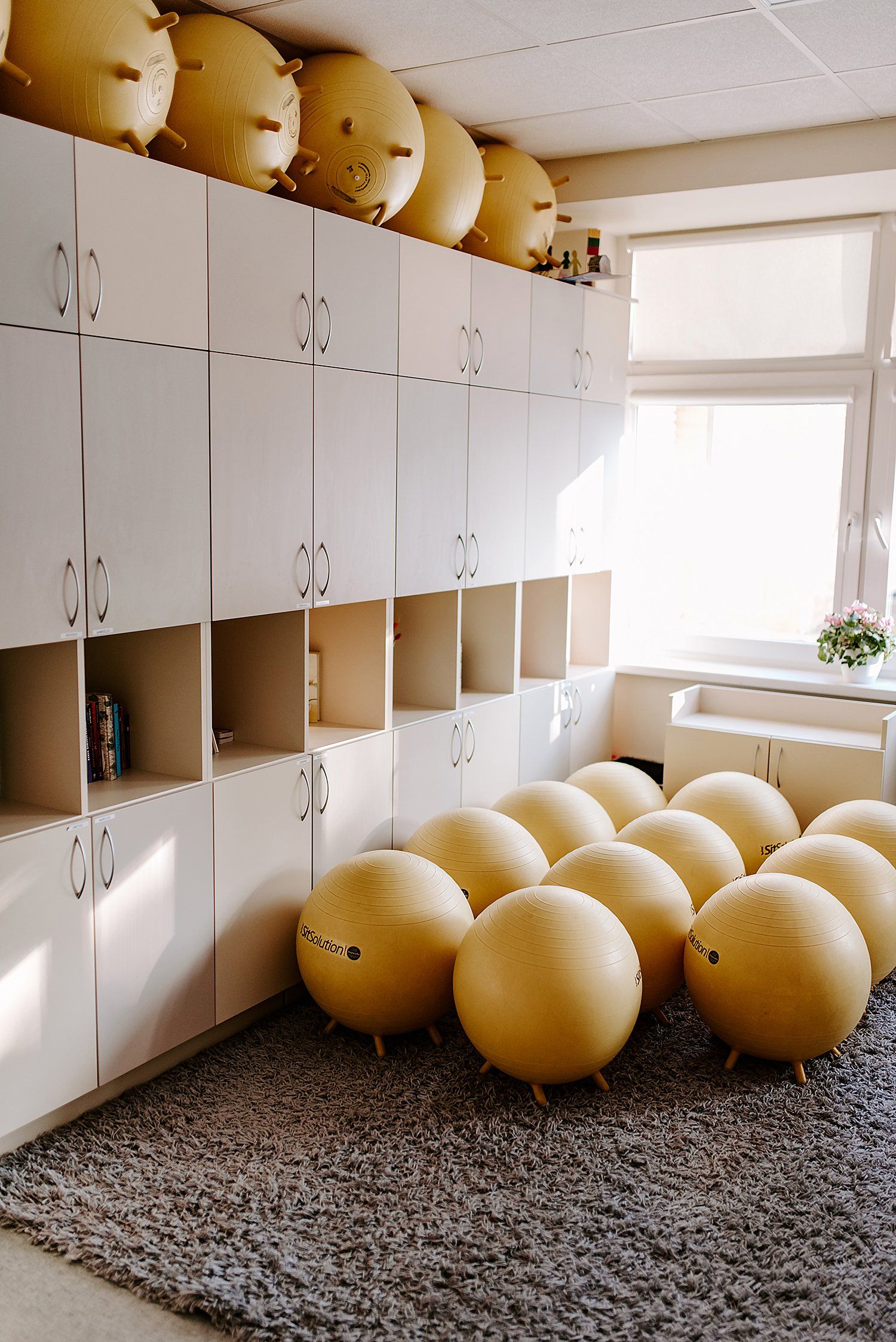 Šiaulių jėzuitų mokyklos aplinka