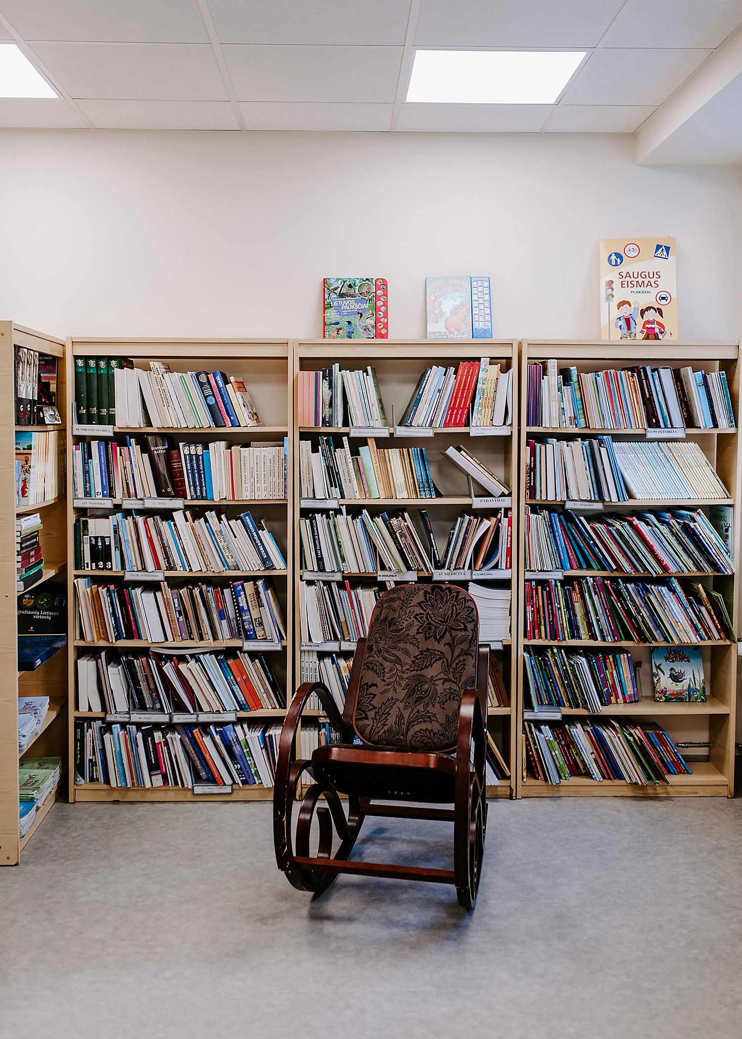 Šiaulių jėzuitų mokyklos aplinka