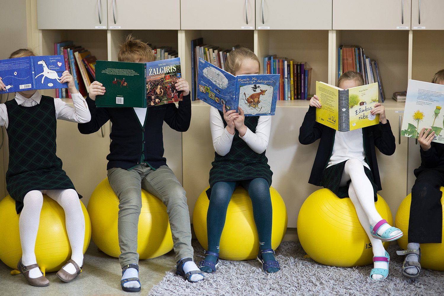 Šiaulių jėzuitų mokyklos aplinka