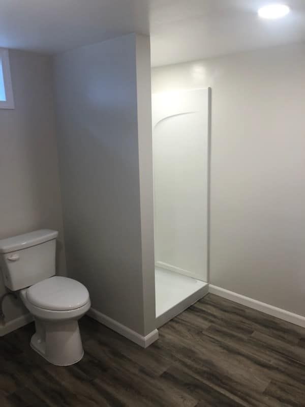 A bathroom with a toilet and a walk in shower.