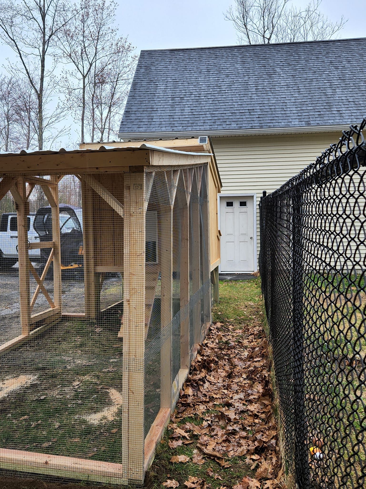 A chicken coop is behind a chain link fence in front of a house.