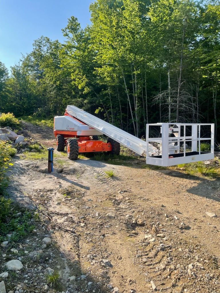 A crane is sitting on top of a dirt road in the middle of a forest.