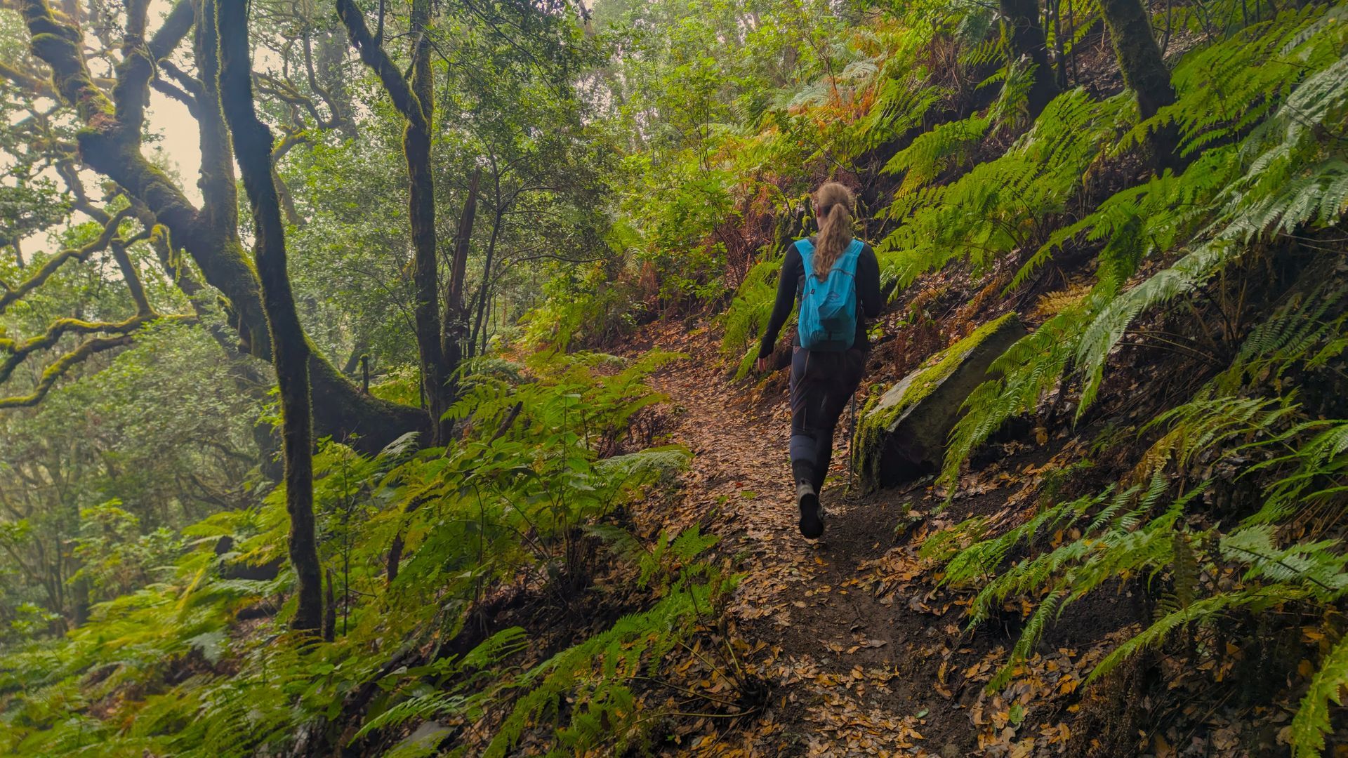 Hiking Above Masca on Tenerife
