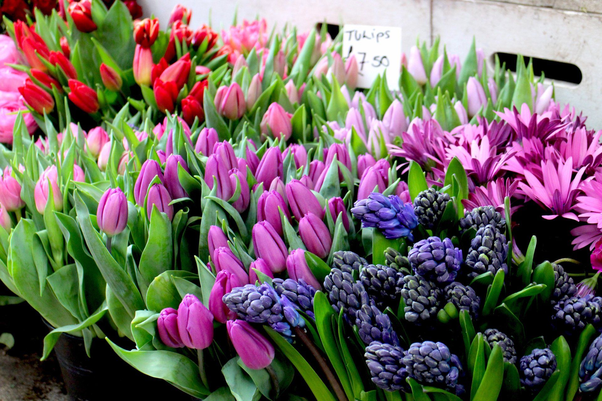 Multi colored flowers in a bunch.