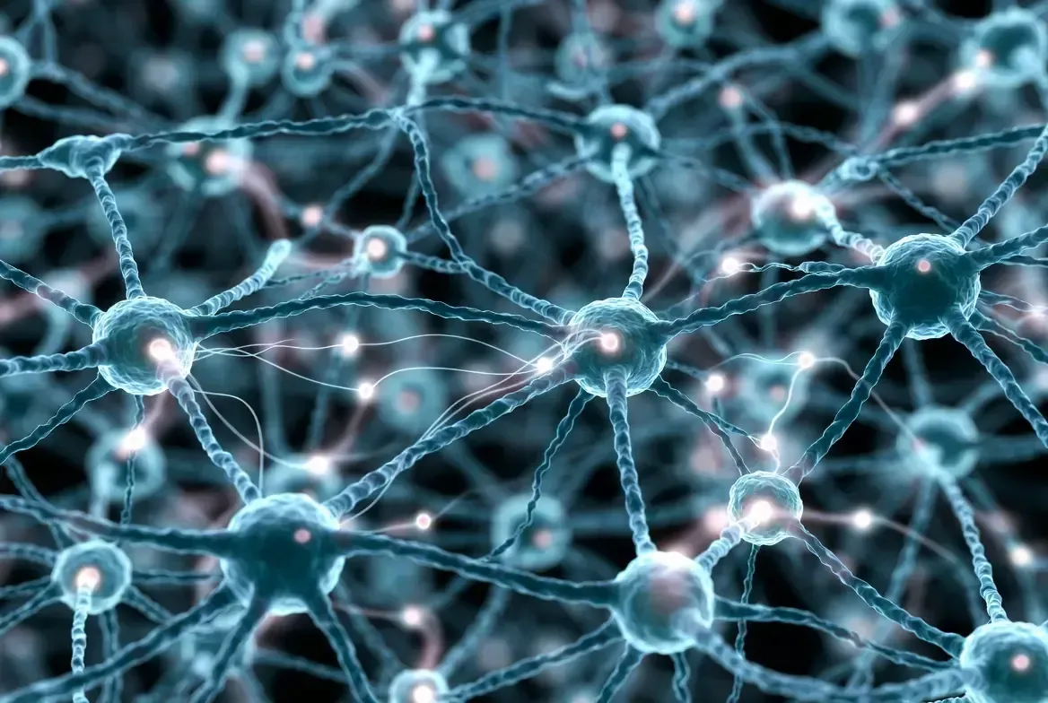 Close-up view of biological neurons interconnected in a dense synaptic network with visible signal transmission between cells.