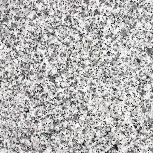 Granito Natural Gris Mara