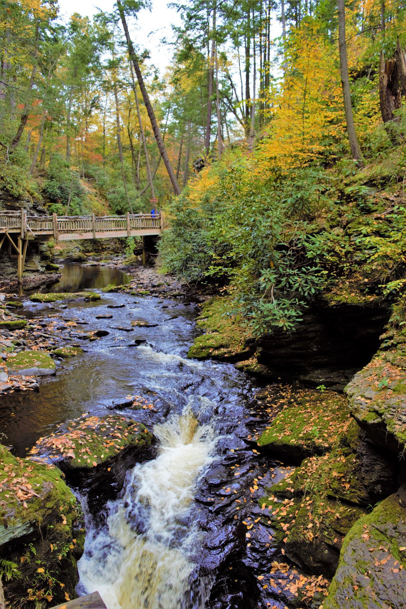 Rushing water flows through a forest with fall foliage, a stone bridge in the background.