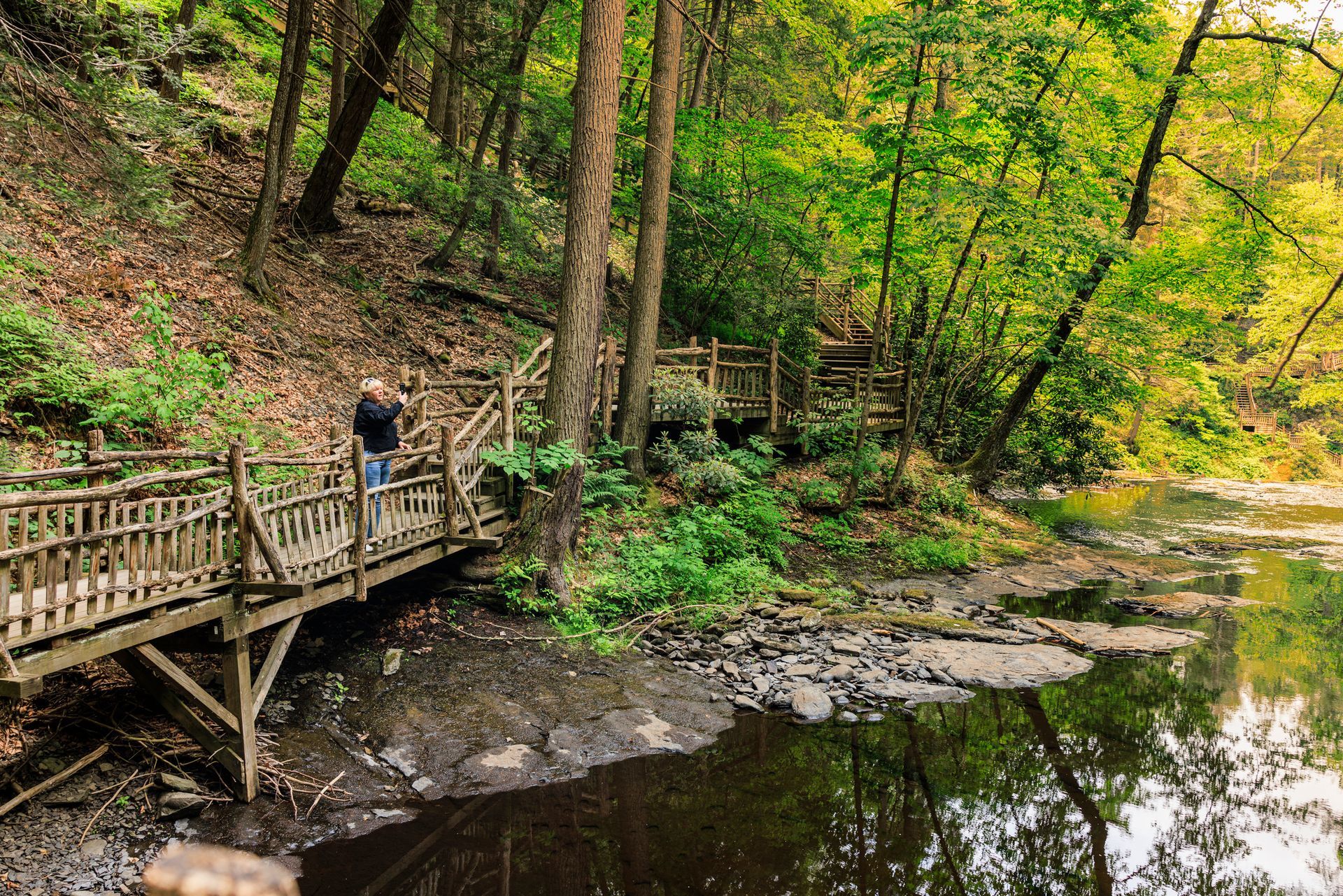 Wooden walkway through a forest, over water. A person walks on the bridge. Trees and foliage surround.
